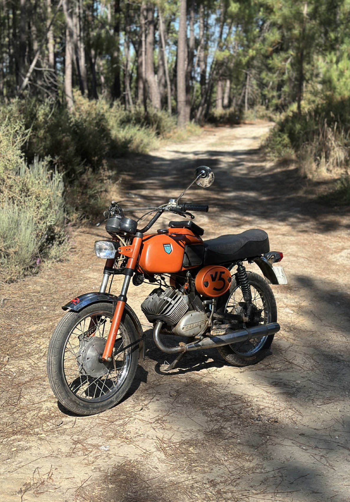 @Tiagoo.1309🇵🇹