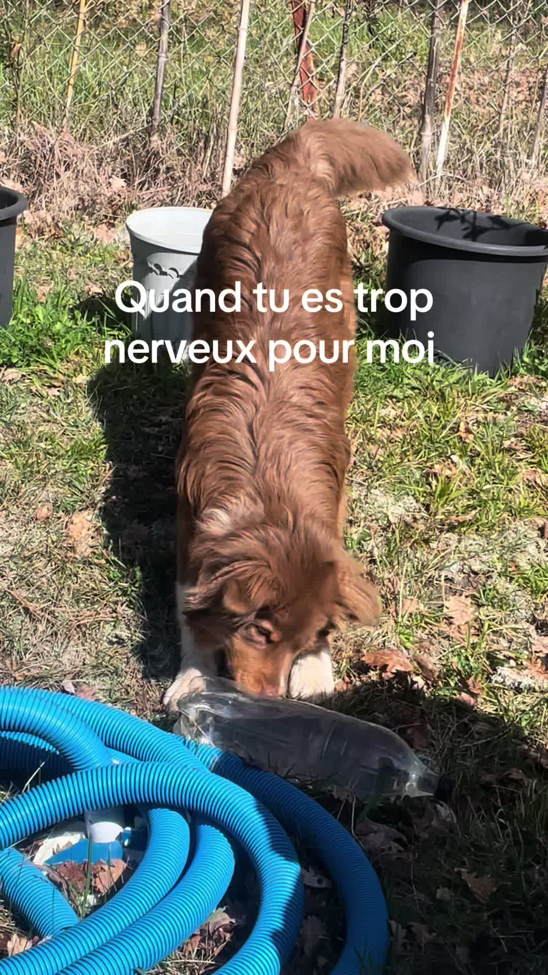 @Skai le grognon