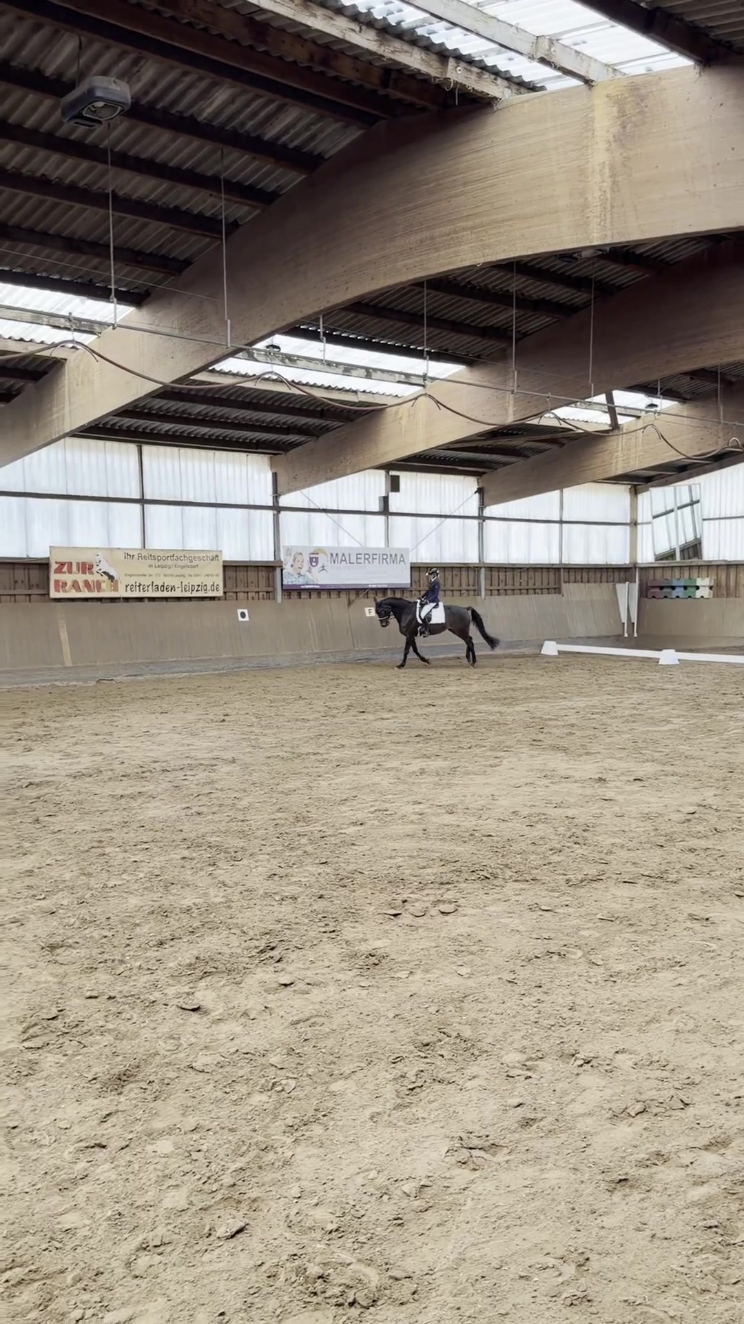 @_leonie_equestrian_