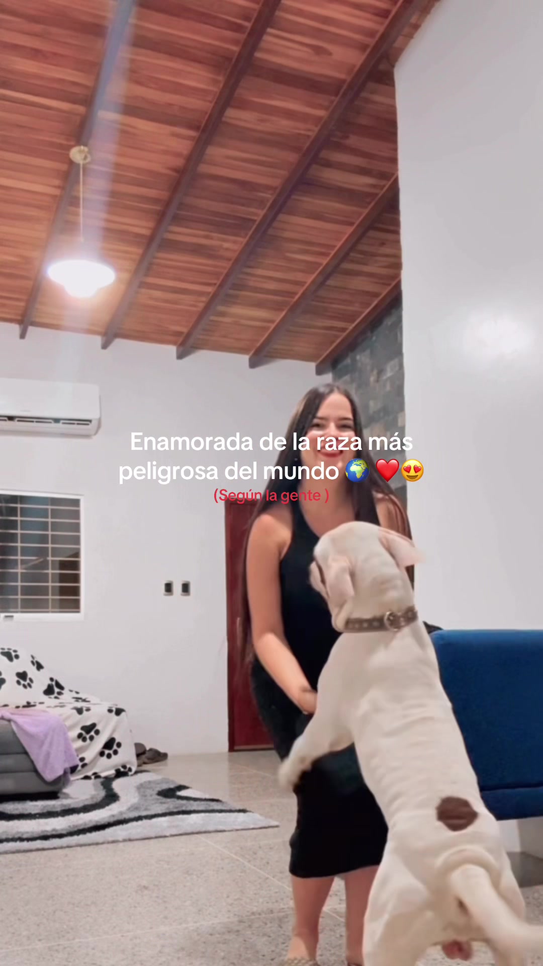 @aimaramoli