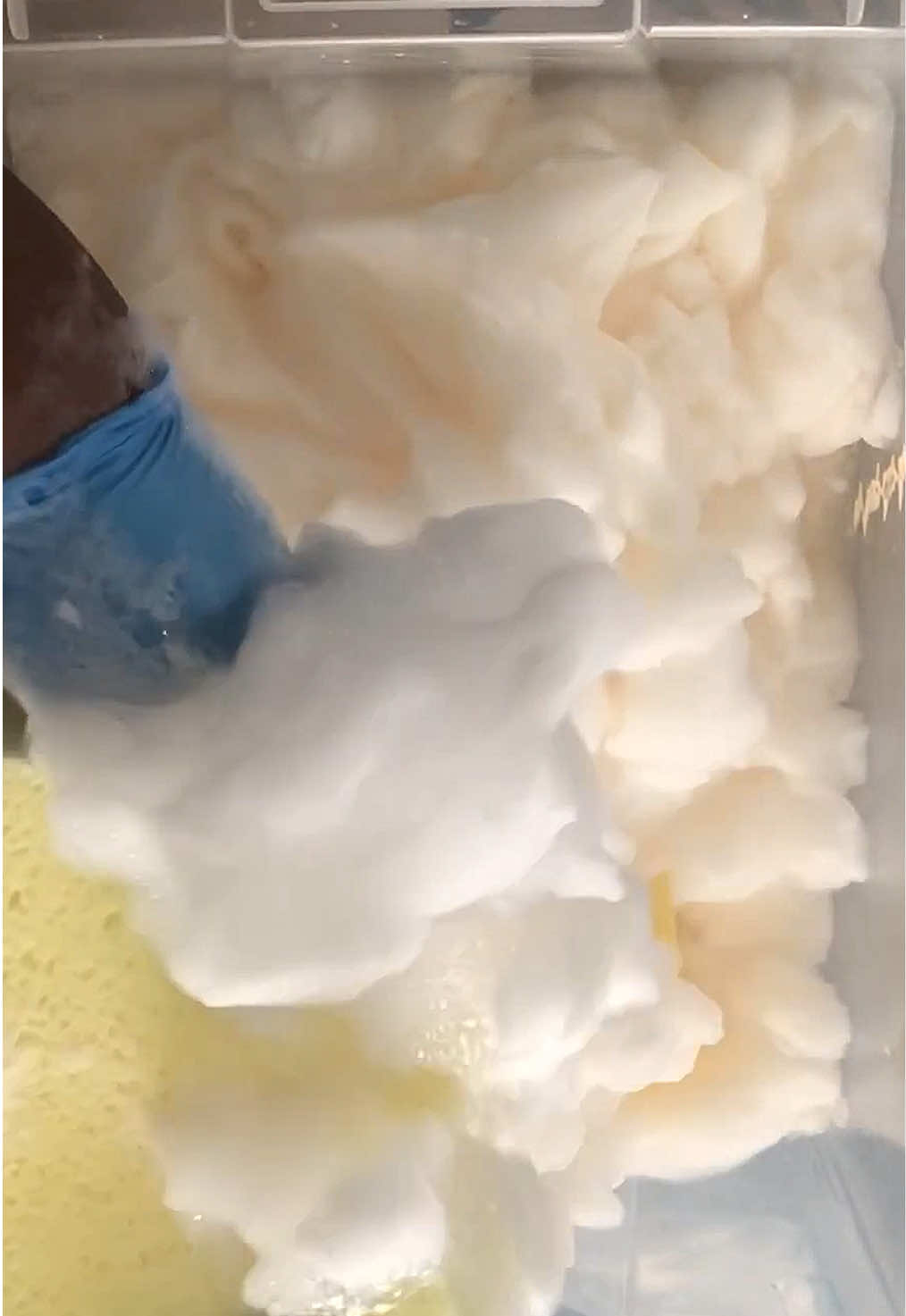 @HD Spongetok