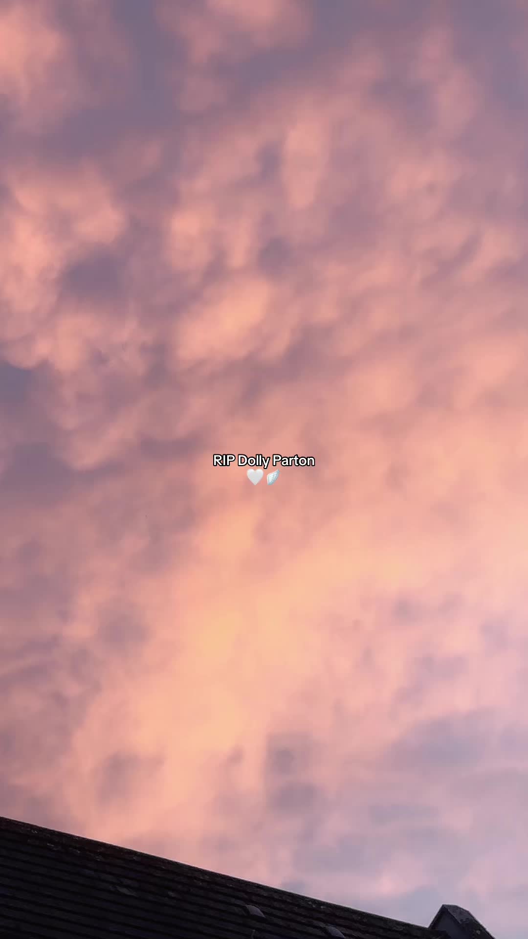 @Sophie๐๐ค