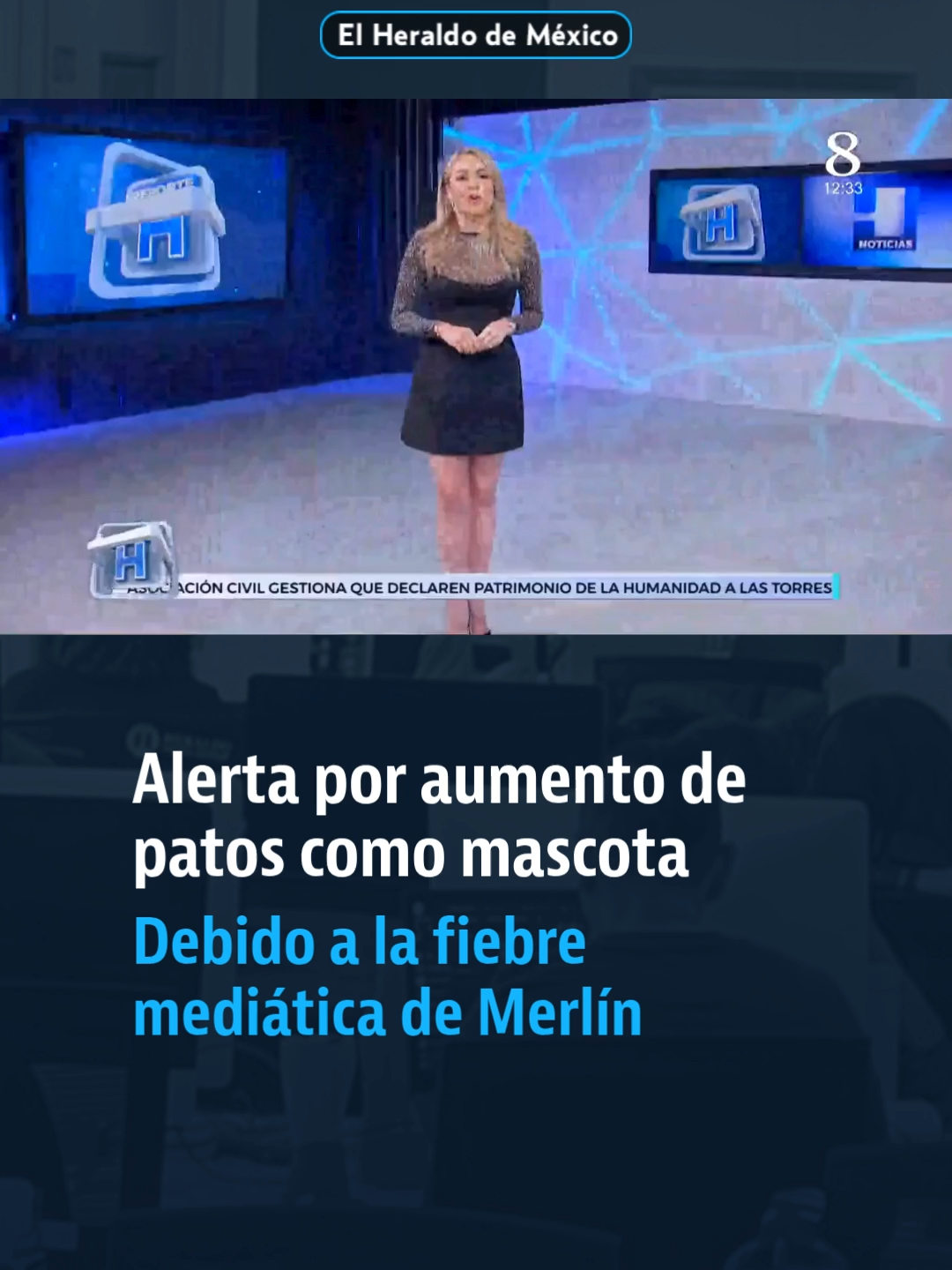 @elheraldodemexico