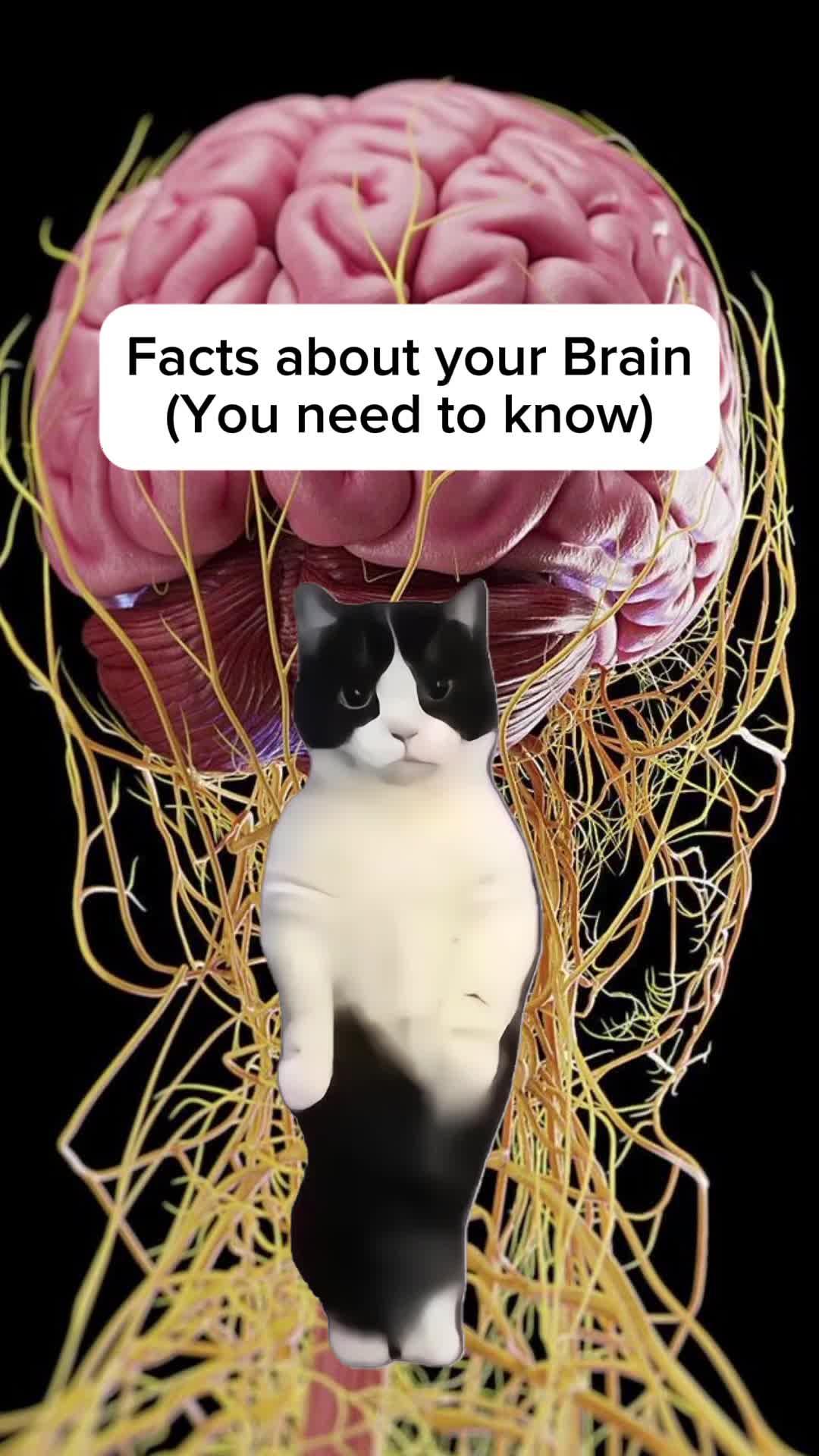 @Histonerd