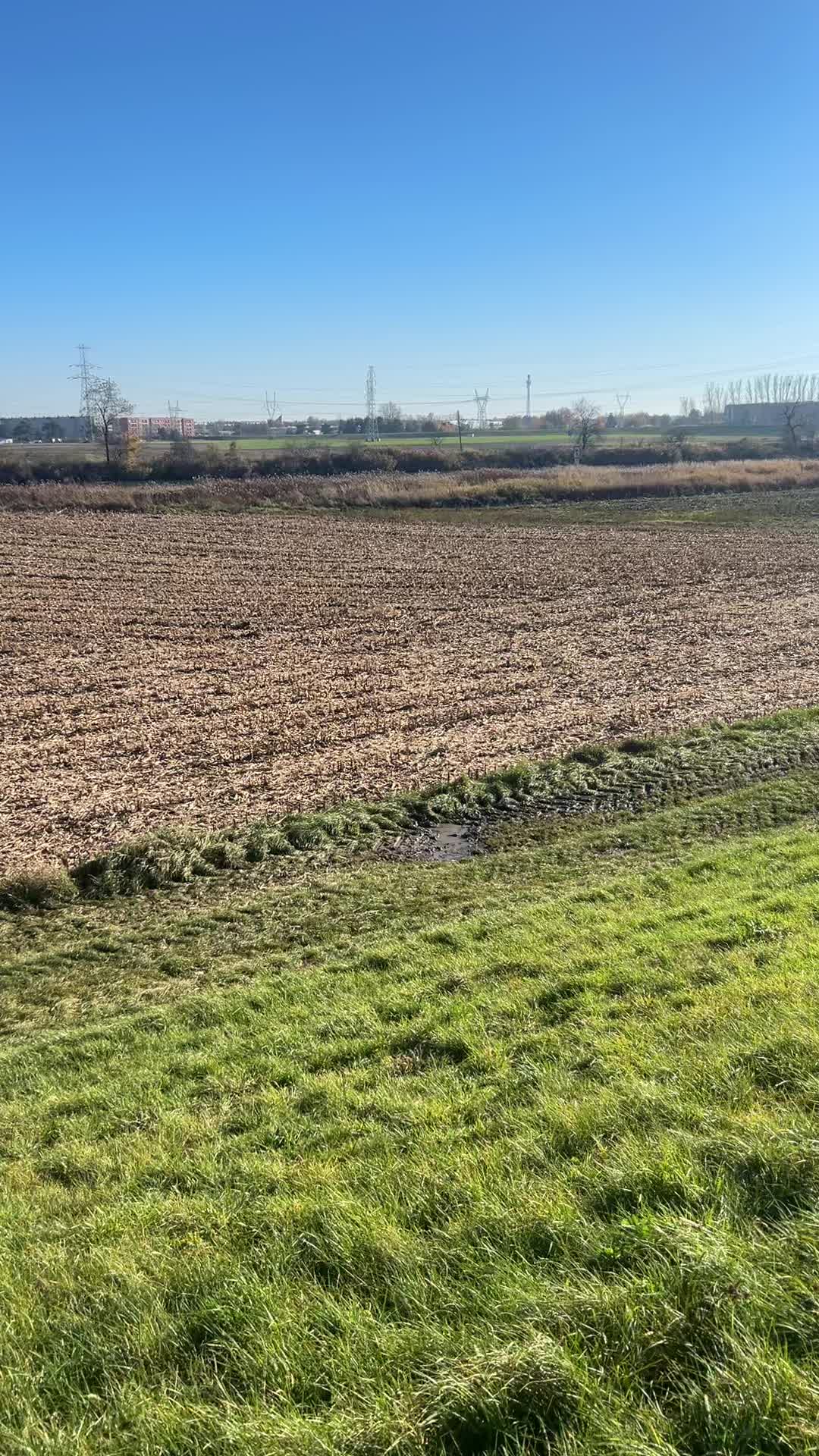 @Brodaty850🇵🇱🇺🇦