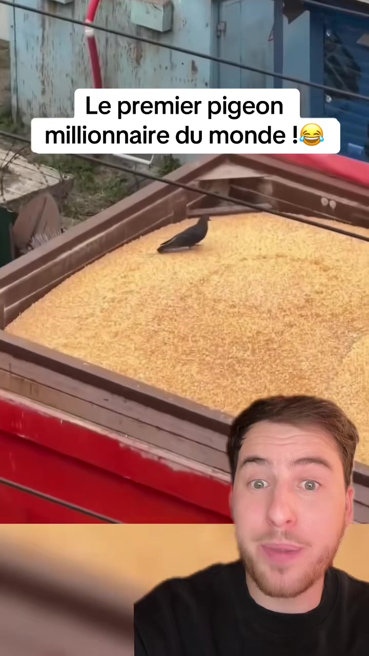 @lucasenparle