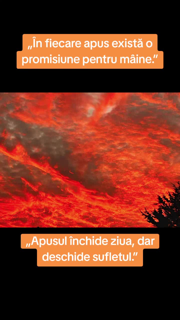 @💌🆗🥰🤪 yonelia💕❤️🆗