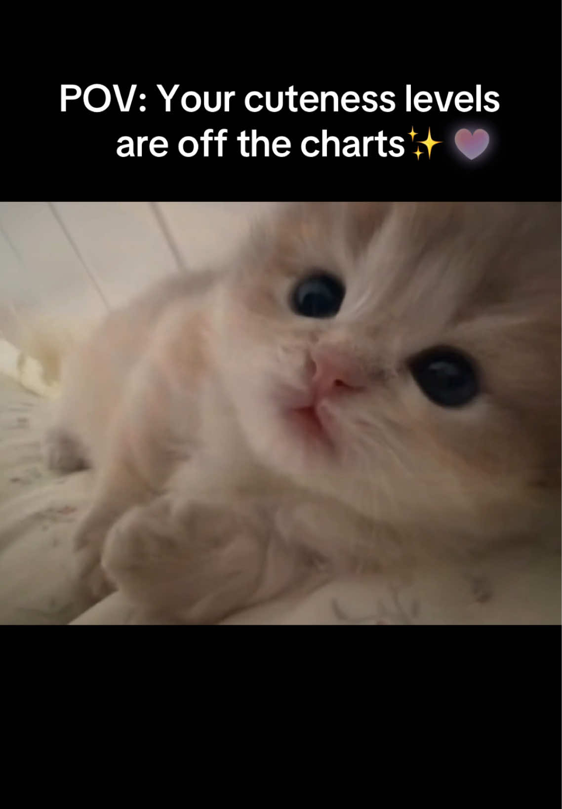 @ViralPick