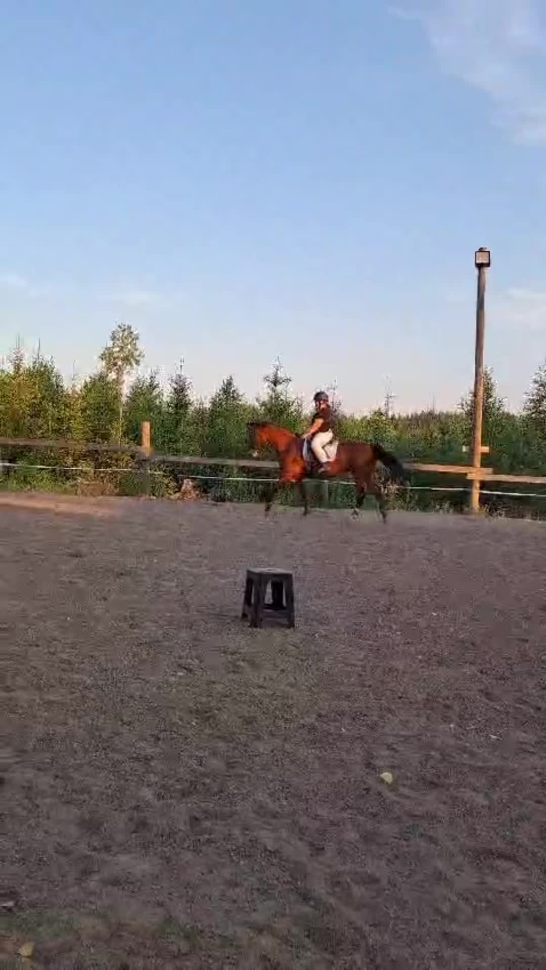 @Ponirannan talli🇫🇮🐎