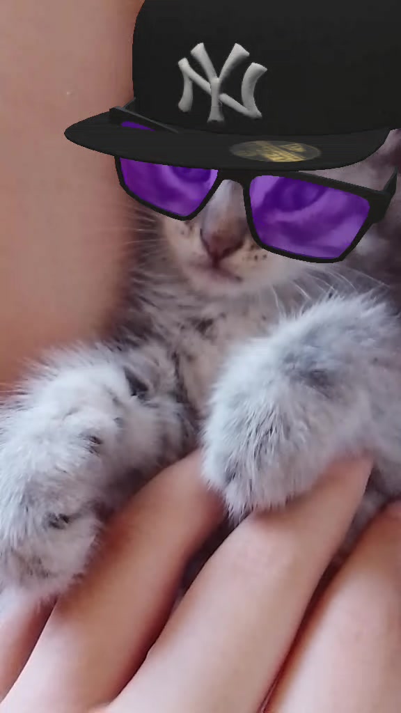 @nnnnnni