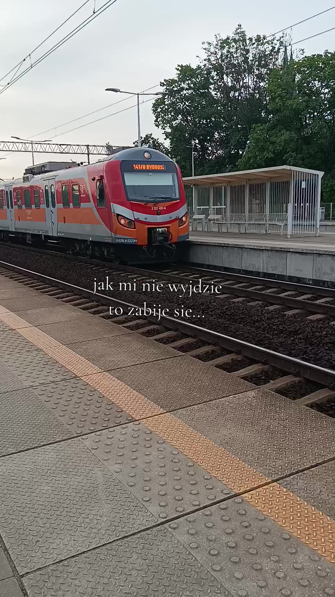 @user264920293749