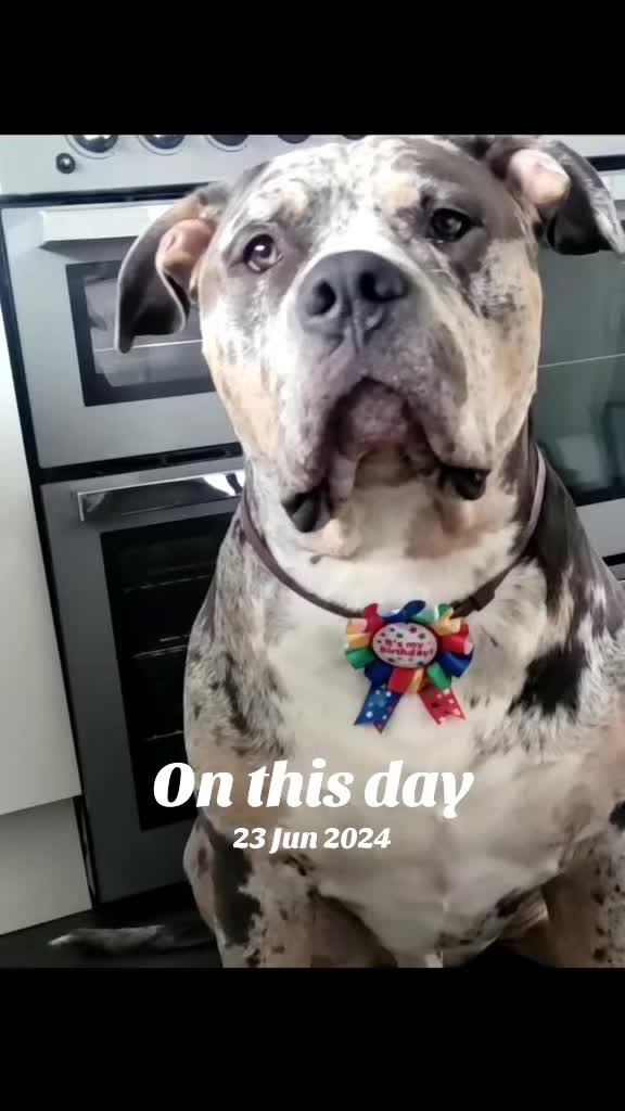 @Regal_ego