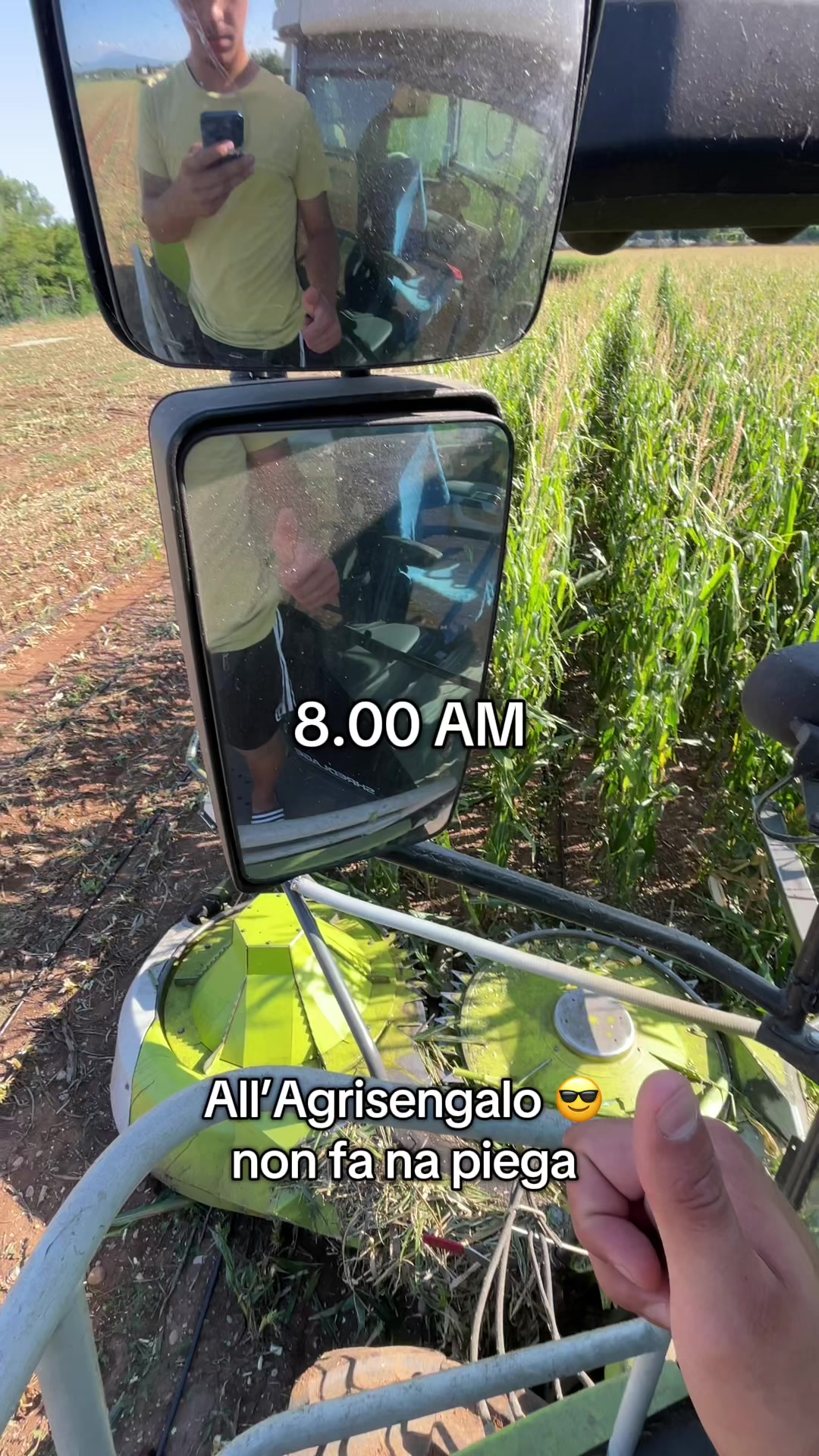 @Agrisengalo😎