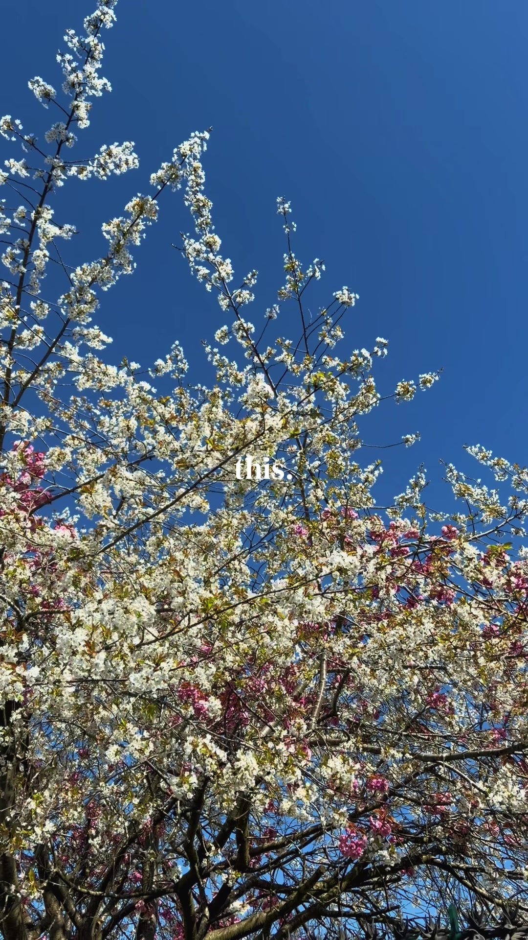 @Quiet Elsewhere | ๐๐๐