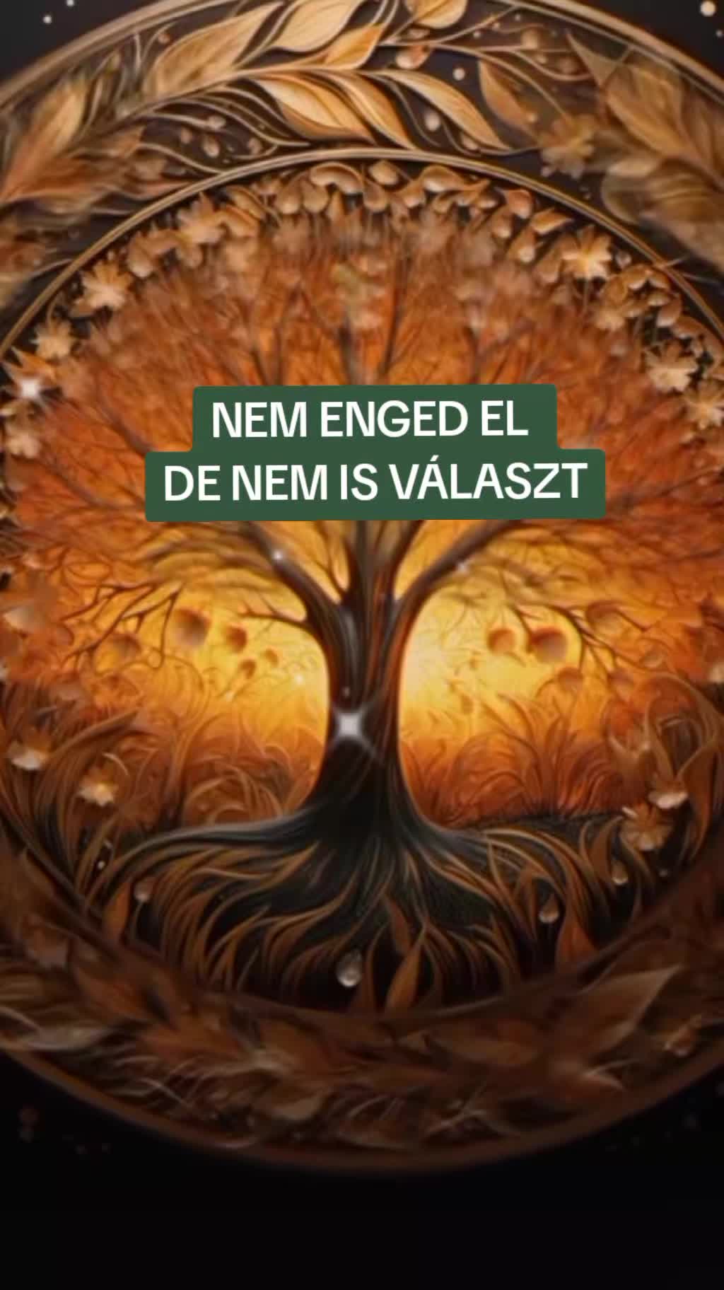 @Enna Ezot&eacute;ria