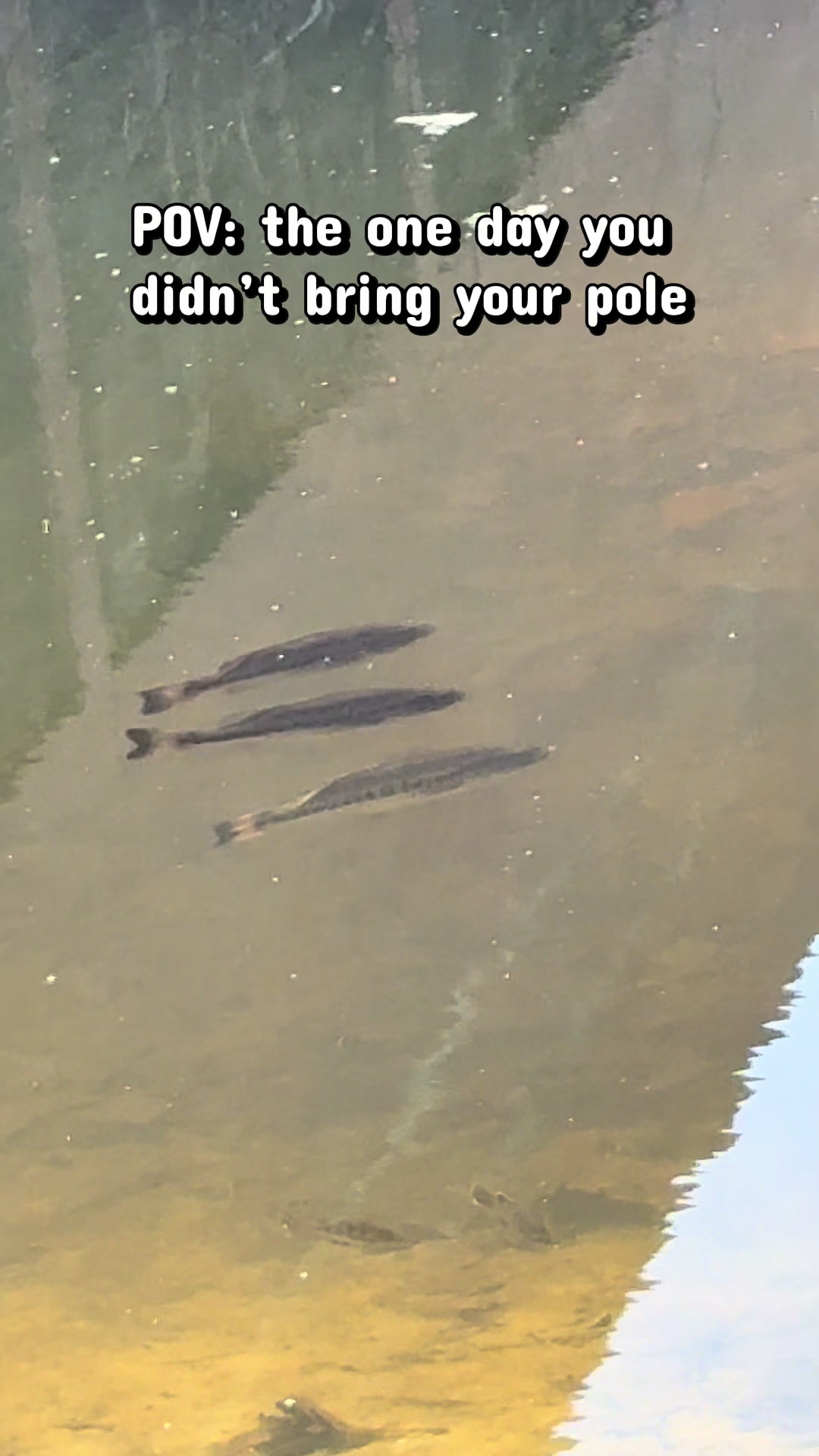 @B. A. Fishing