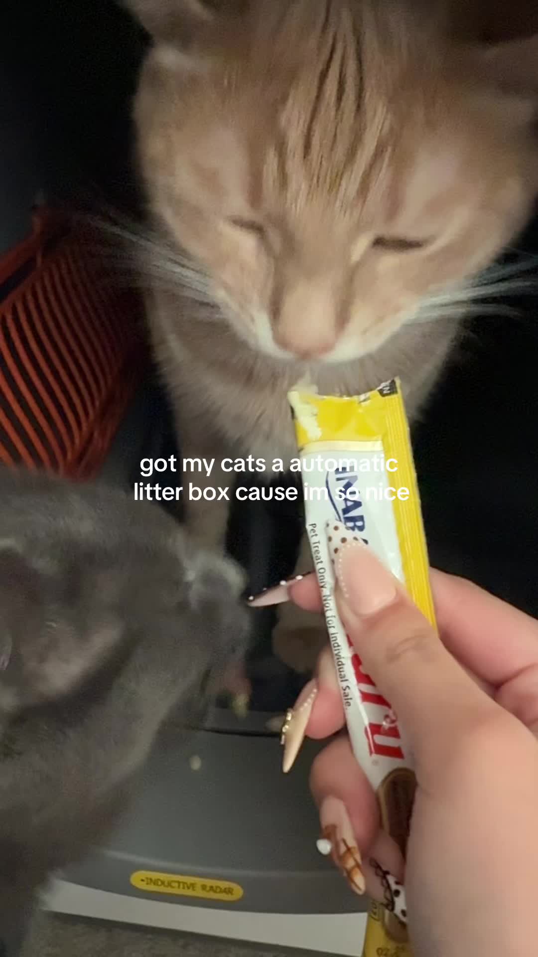 @🪽