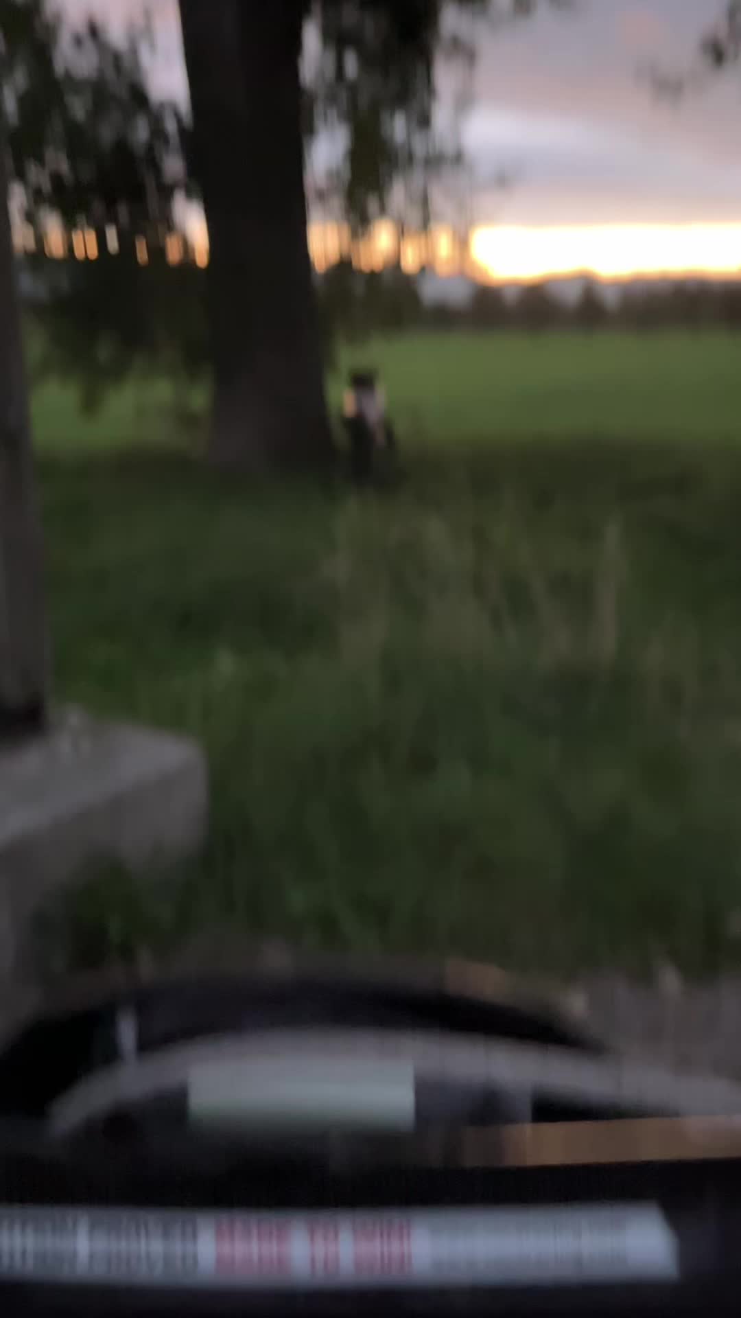 @rieju_jakob