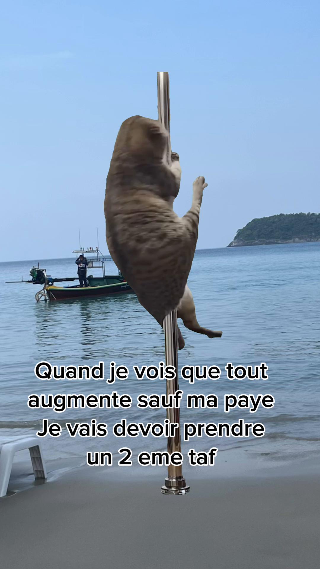 @Magou1981