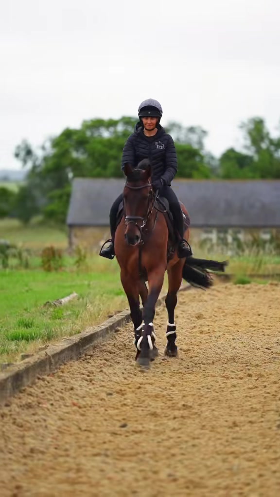 @Uhlan Equestrian