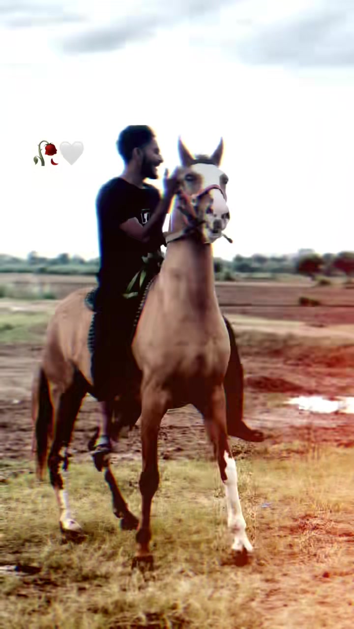 @Ch Hammad bokan ♥️🐎