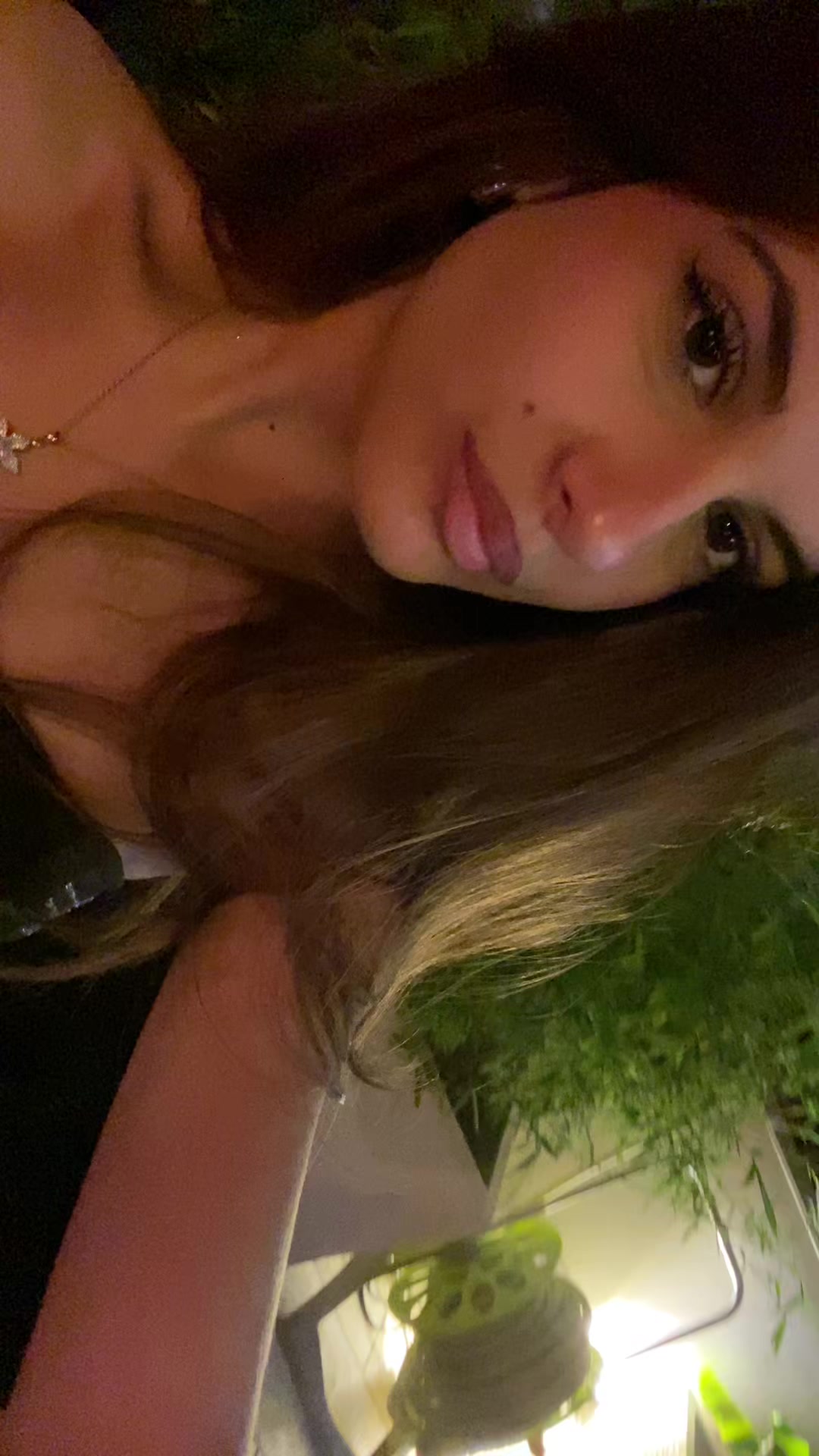 @ludo
