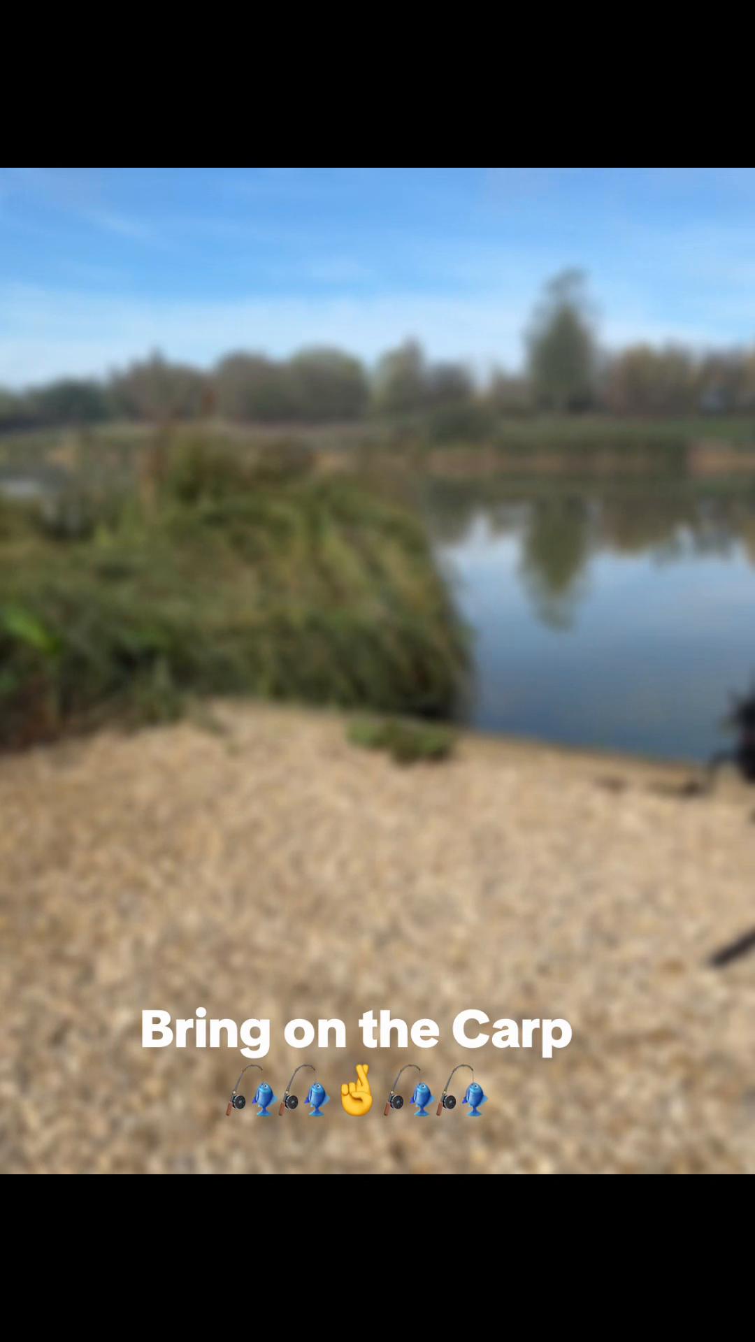 @janner_carper