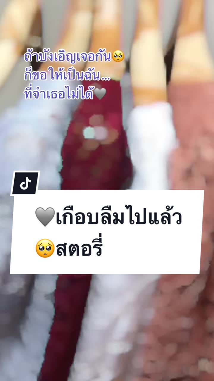 @เสื้อลูกไม้ PK Shop