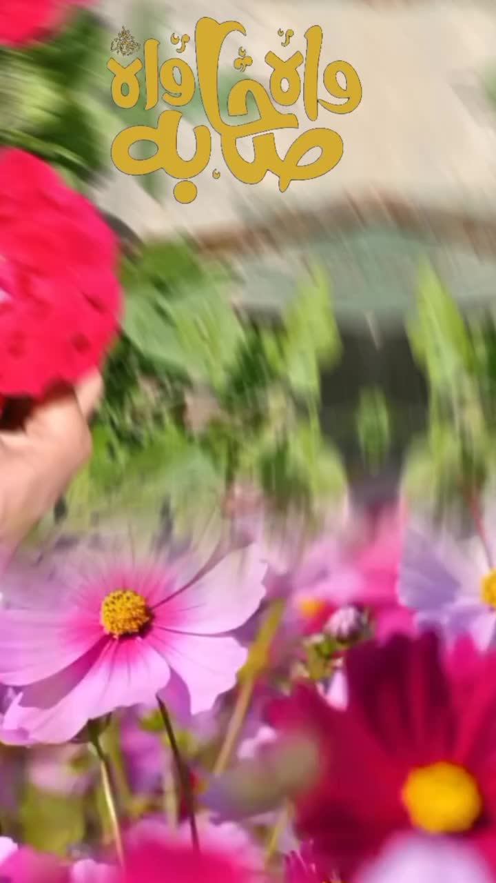 @Sufi Khan