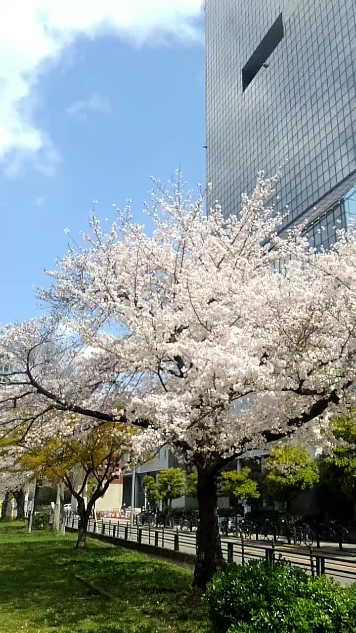 @五十嵐😎龍騎