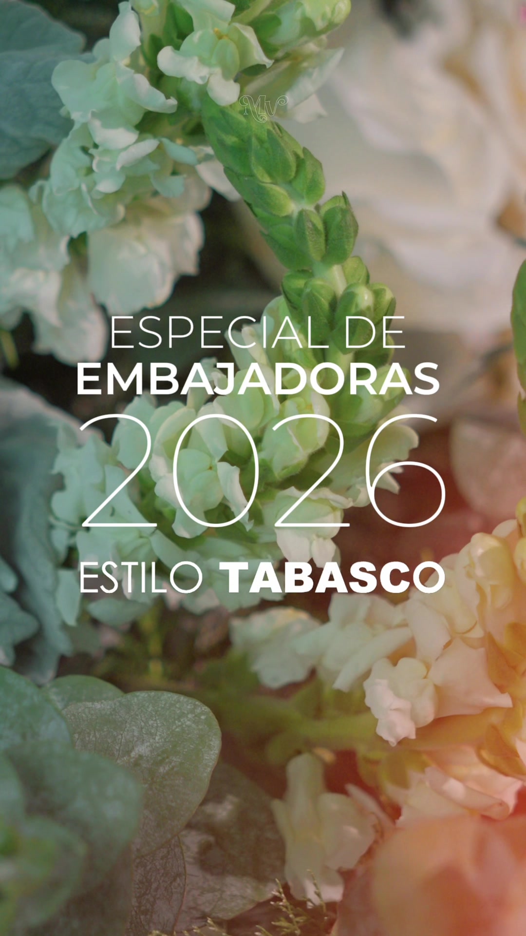 @estilotabascooficial