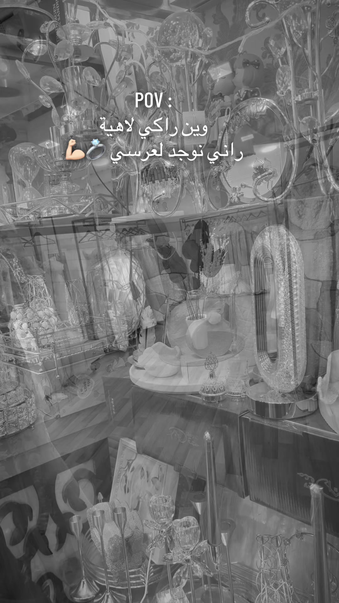@amira mansour