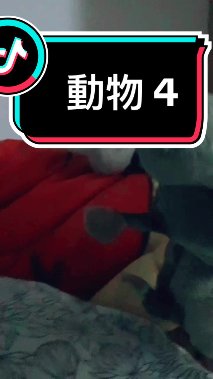 @linglai777777