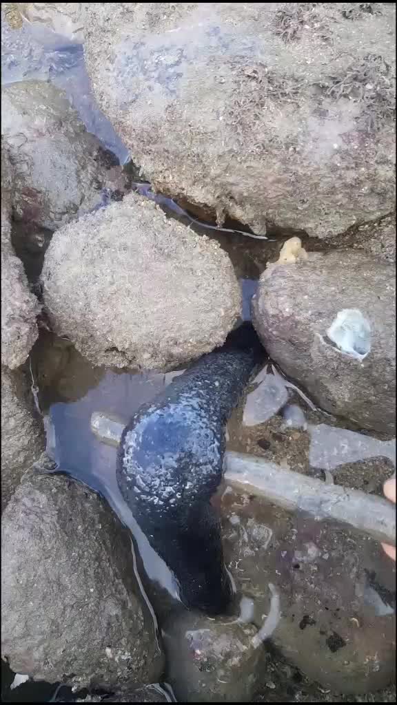 @RêNå