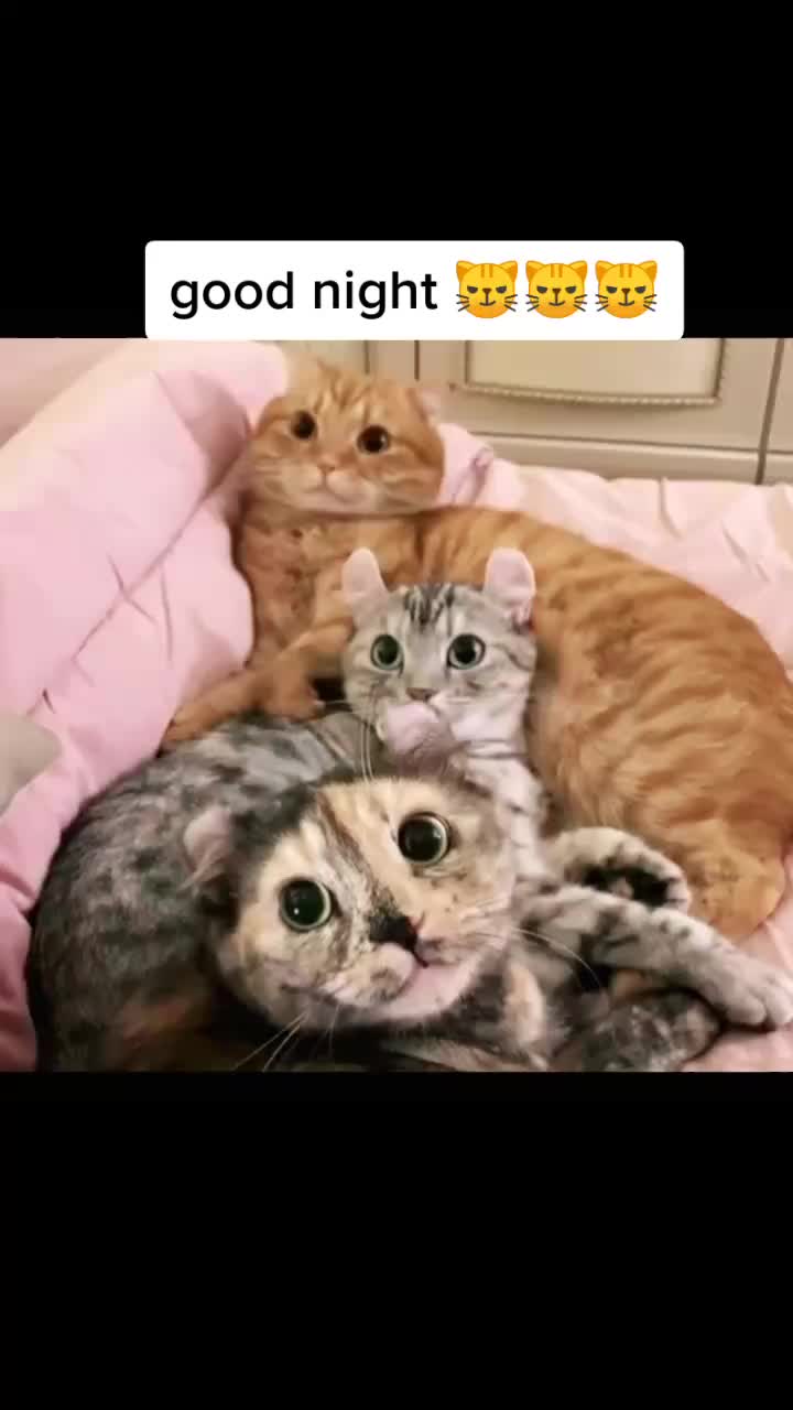 @user87357065893