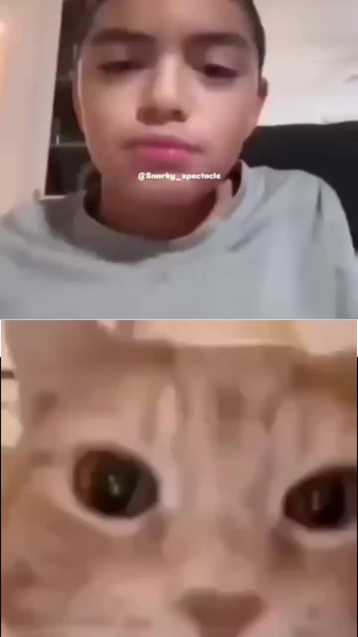 @supreme memes remix 🗿