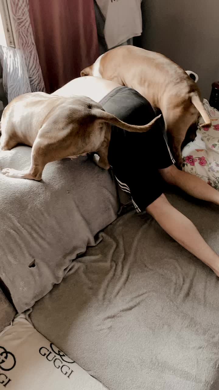 @Yulia  Klimova