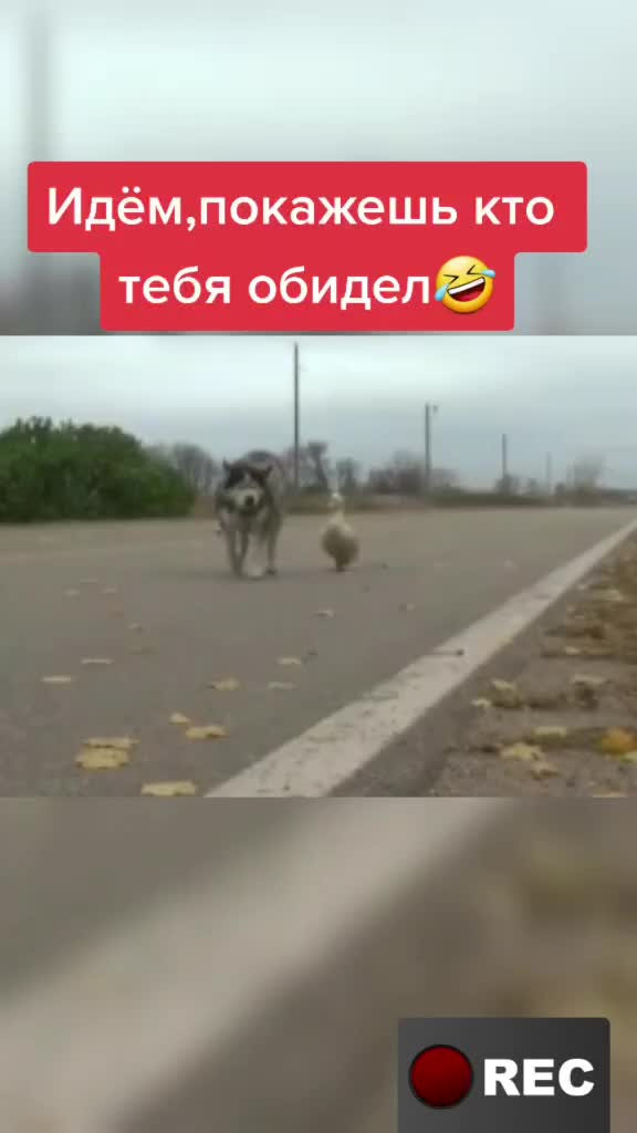 @Лариса