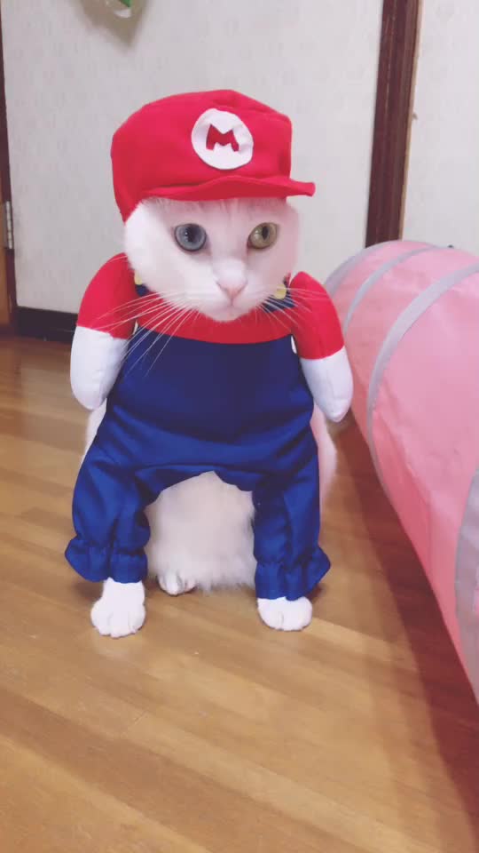 @オッドマリー