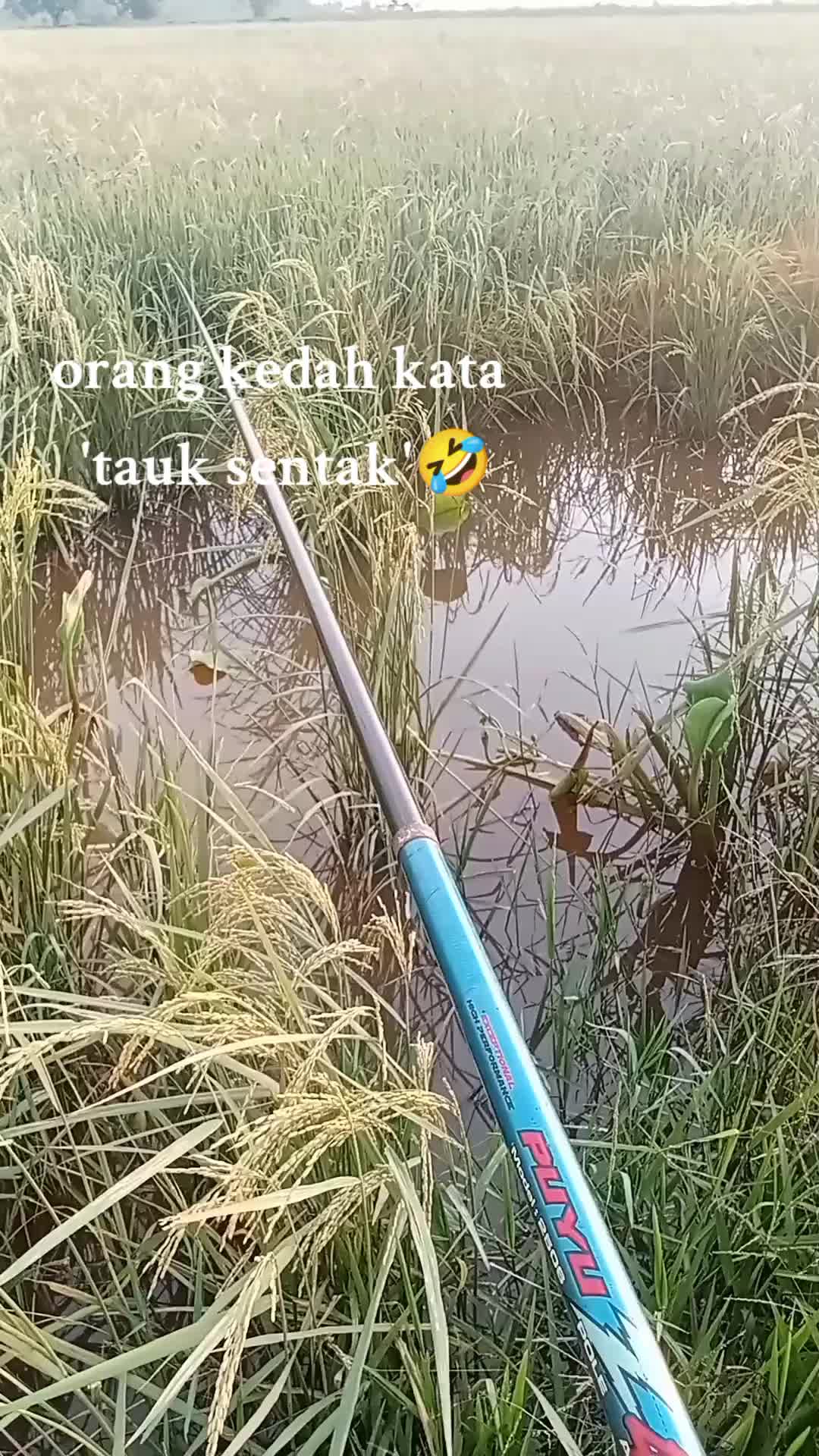 @Amirul Zahari6