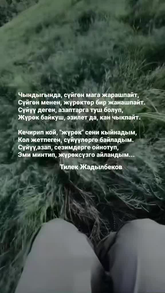 @Tilek