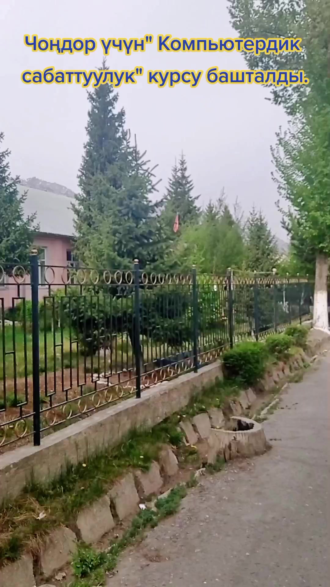 @Нарын облустук китепкана