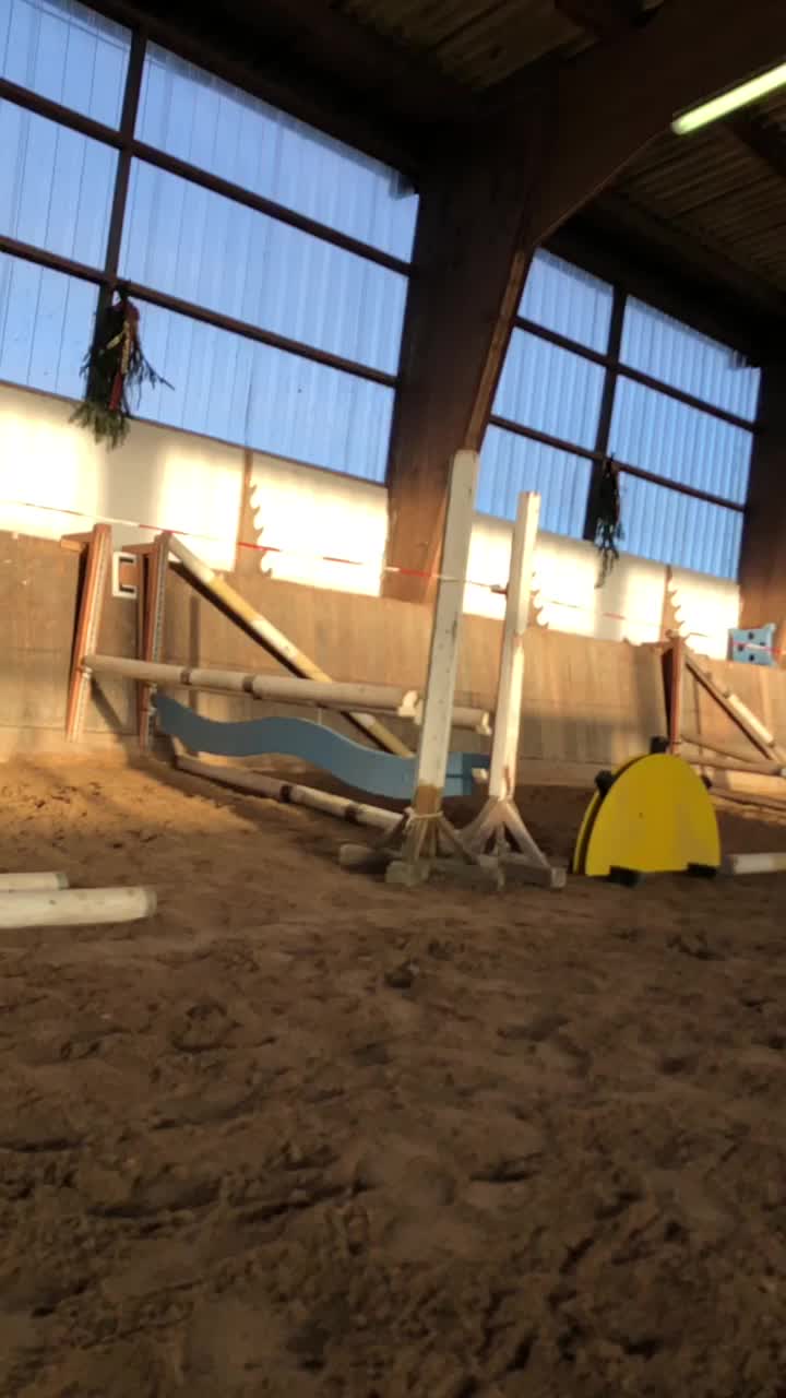 @Dressurpony🐴