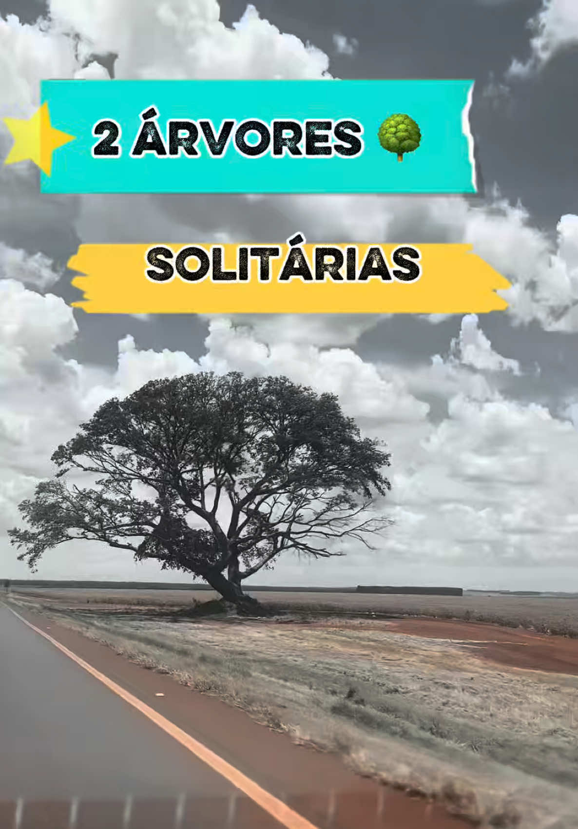 @Batera_88 🥁
