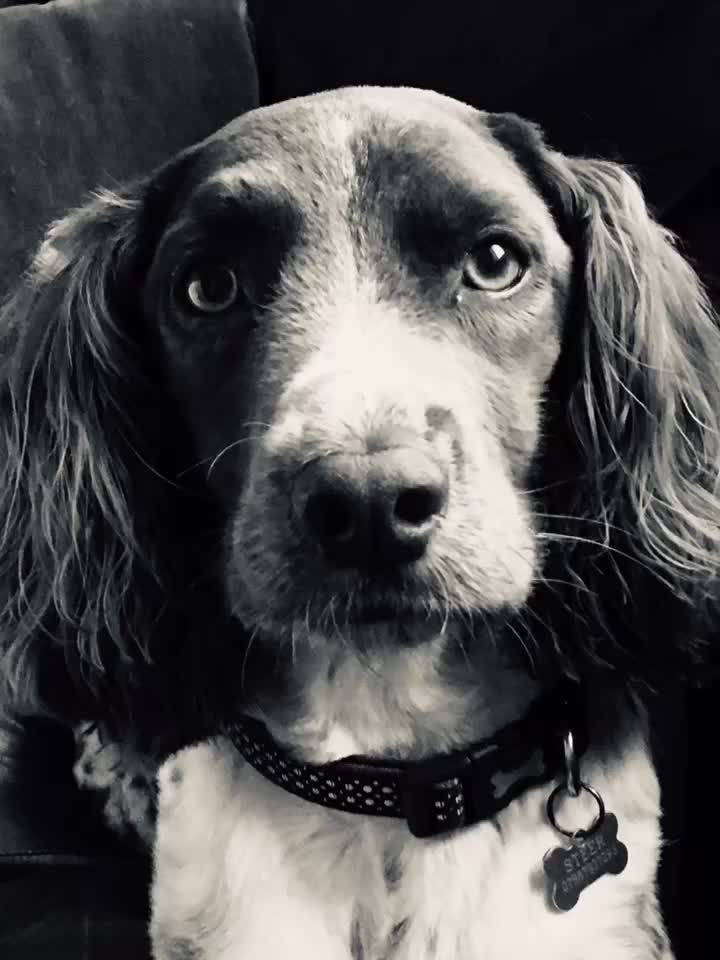 @🐶Molly🐶