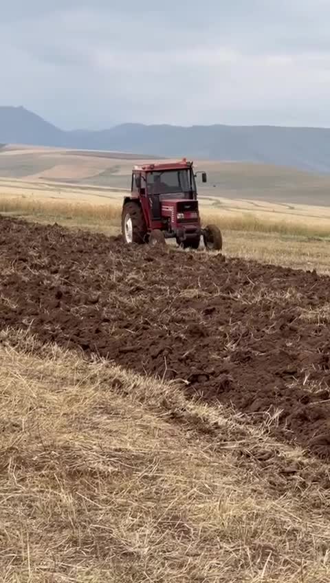 @Hamza Akboğa
