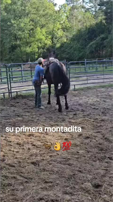 @joserefugiodiaz49