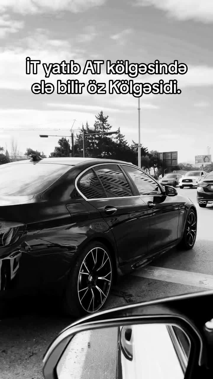@⚜️Necef Quliyev⚜️