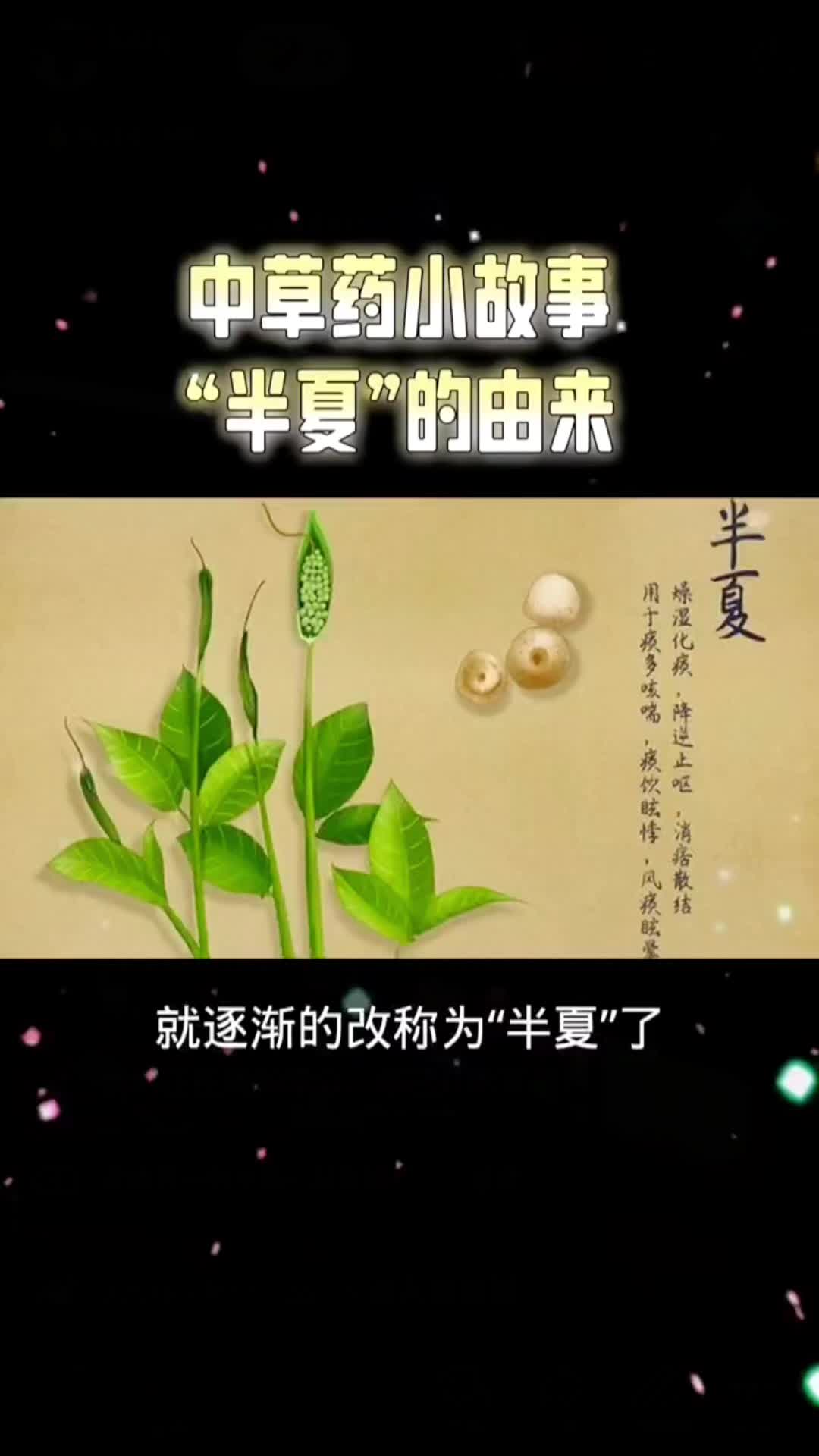 @laotang中医世家