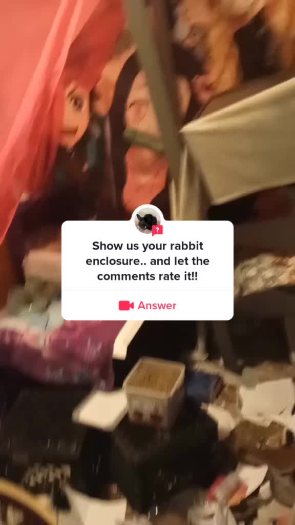 @Bunny lux 🐇🐰